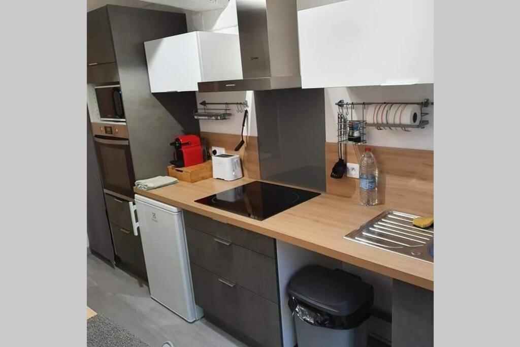 Appartement Avec Jardin Hyper Entre Валенсиен Екстериор снимка